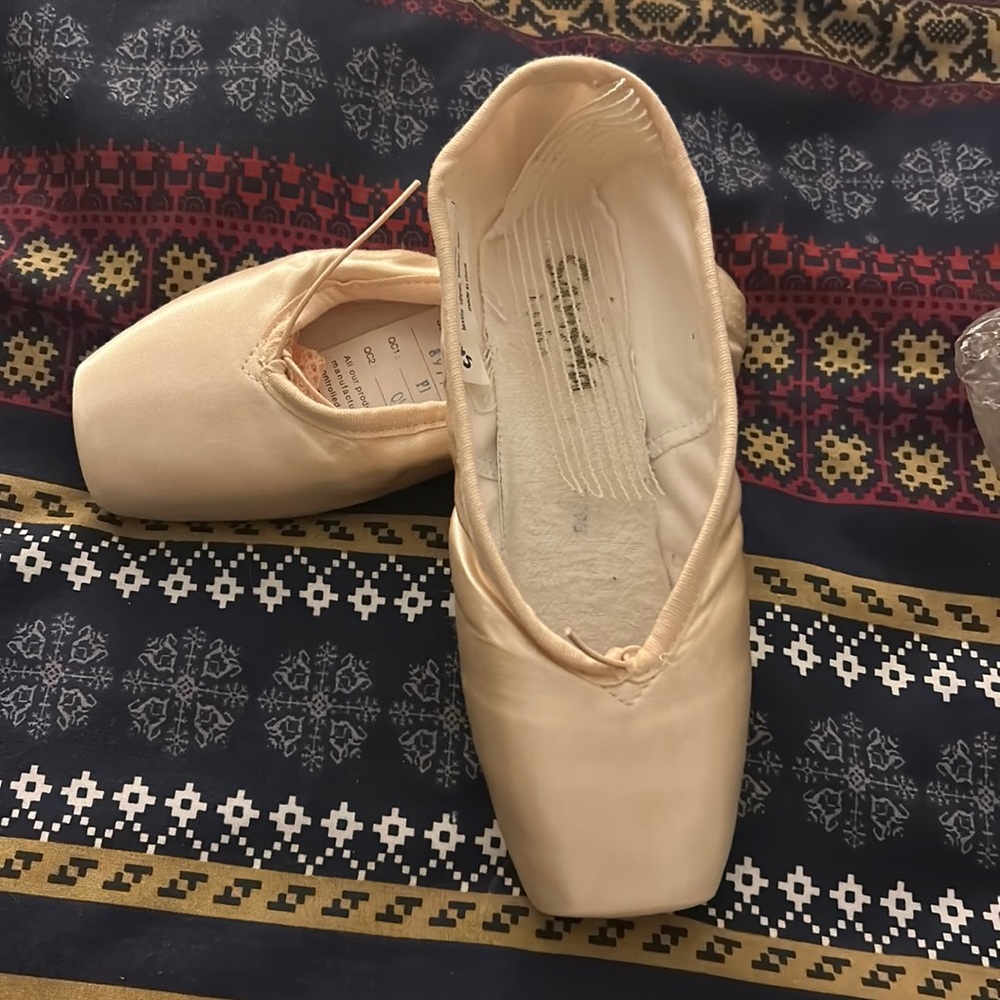 Sansha pointe shoes